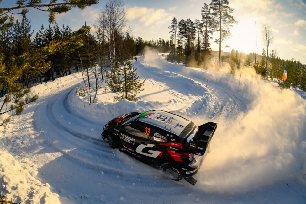 WRC Suecia Evans