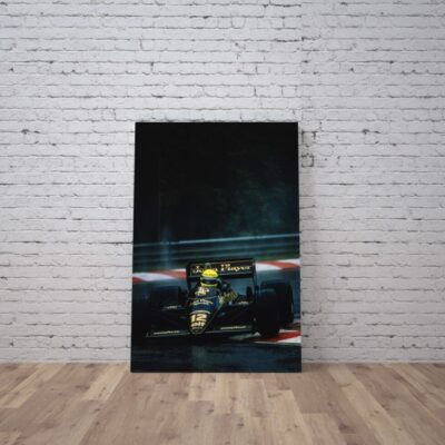 Cuadro Ayrton Senna (13)