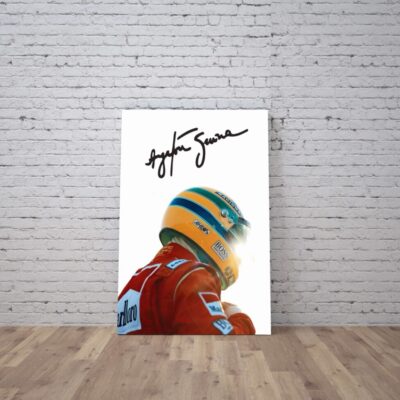 Cuadro Ayrton Senna (15)