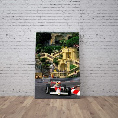 Cuadro Ayrton Senna (18)