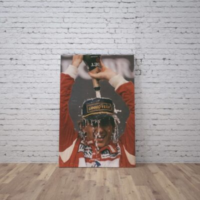 Cuadro Ayrton Senna (19)