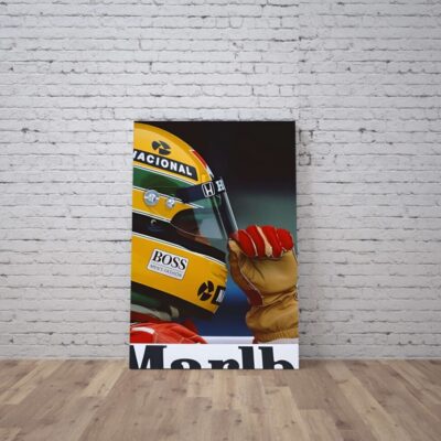 Cuadro Ayrton Senna (22)