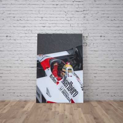 Cuadro Ayrton Senna (24)