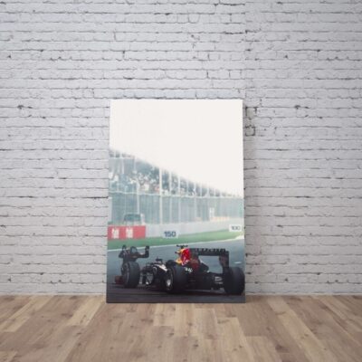 Cuadro Formula 1 (11)