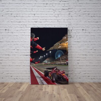 Cuadro Formula 1 (18)