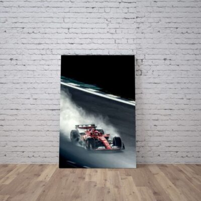 Cuadro Formula 1 (20)