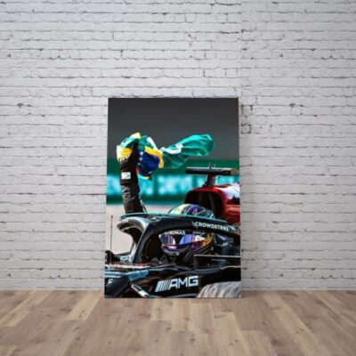 Cuadro Formula 1 (21)