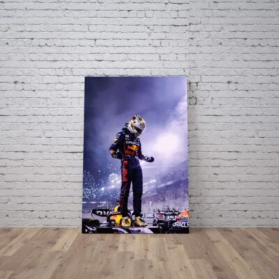 Cuadro Formula 1 (22)