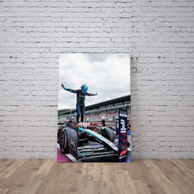 Cuadro Formula 1 (7)