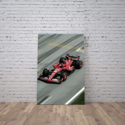 Cuadro Formula 1 (9)